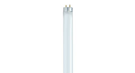 T8 Linear Fluorescent Lamps